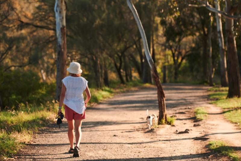 Yarra Bend Park